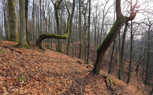 6_NKRP Panemuninku skardis.jpg